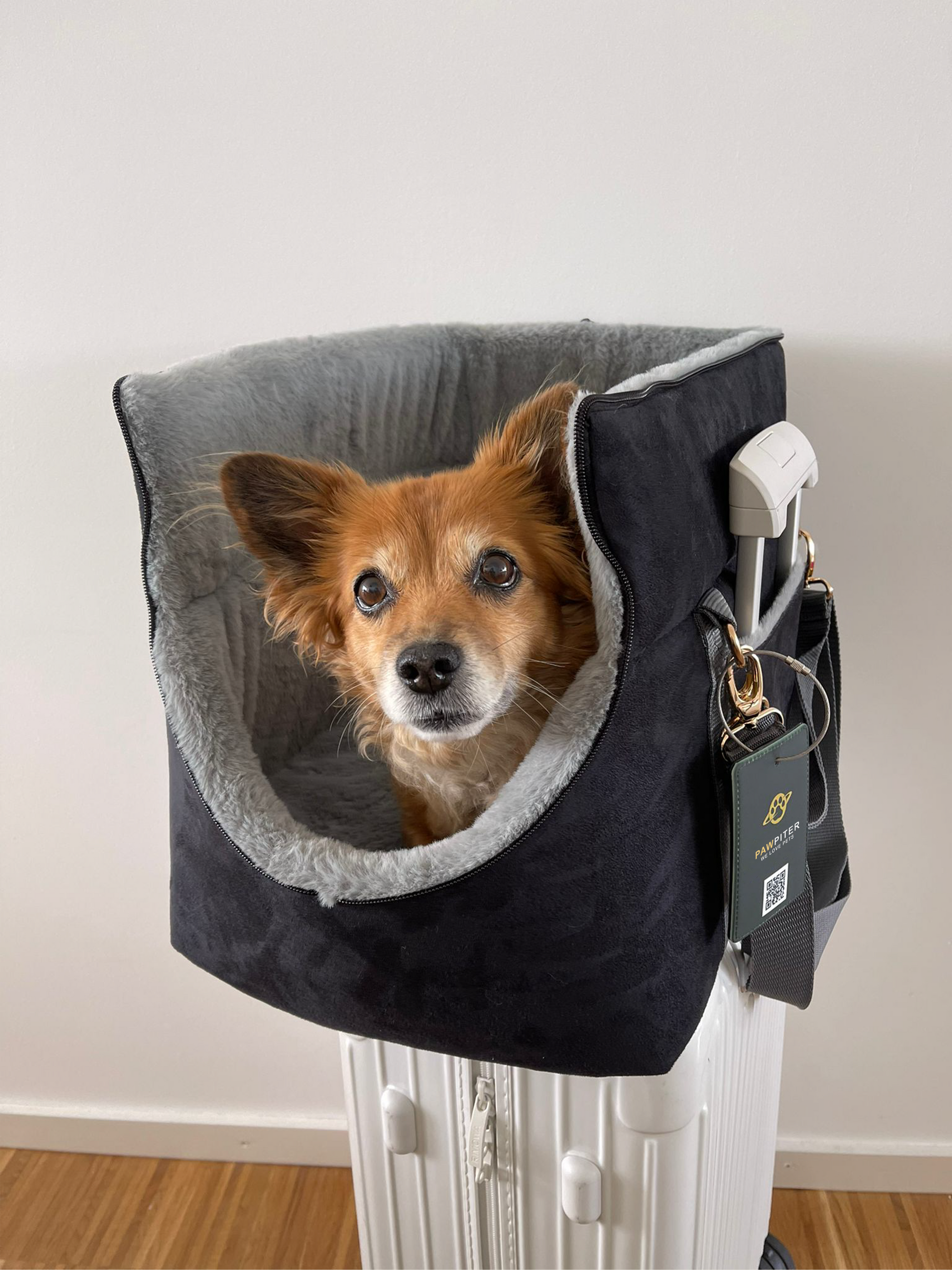 The Original Pawpiter - Cool Gray