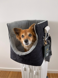 The Original Pawpiter - Cool Gray