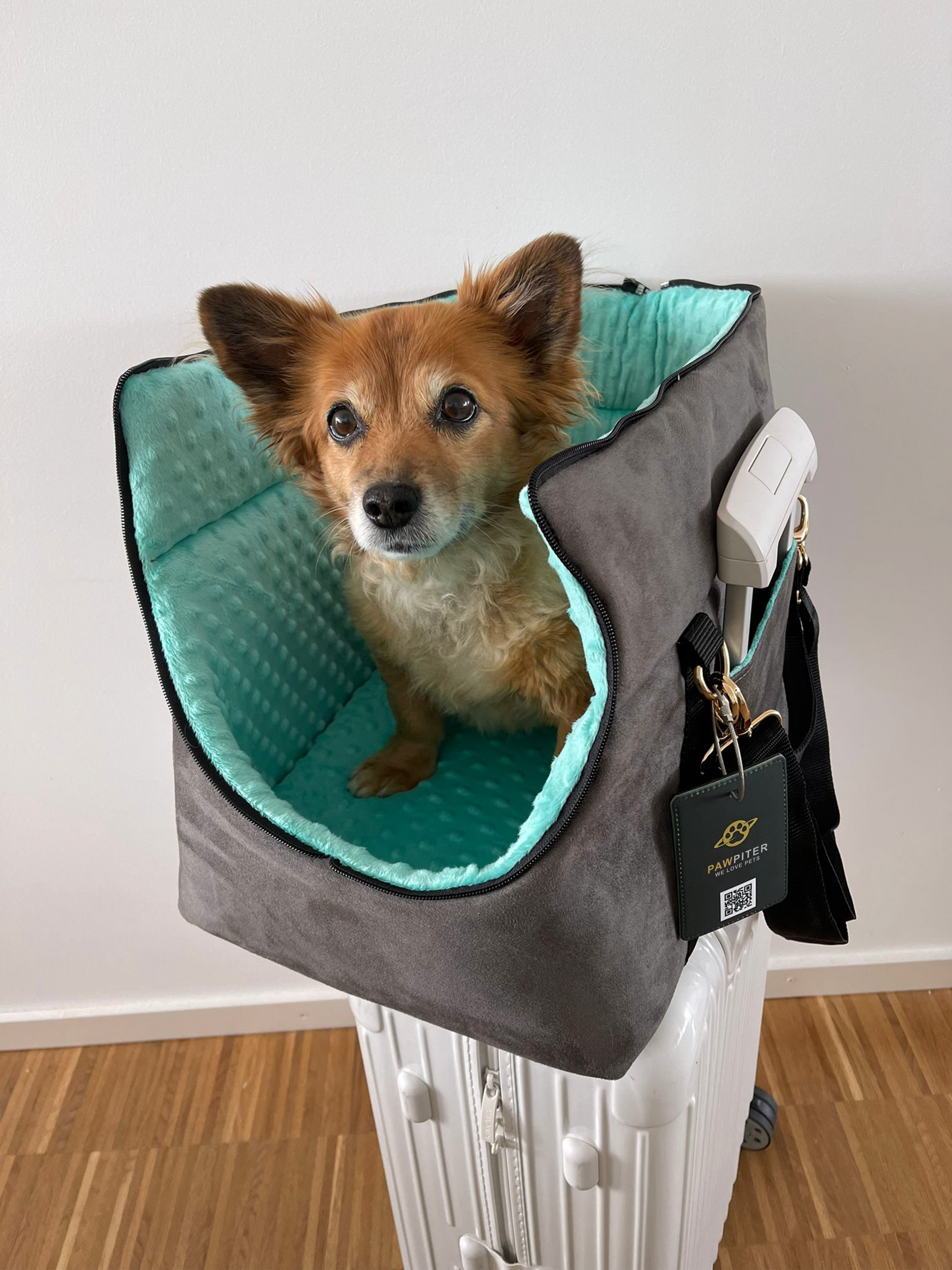 The Original Pawpiter - Minty