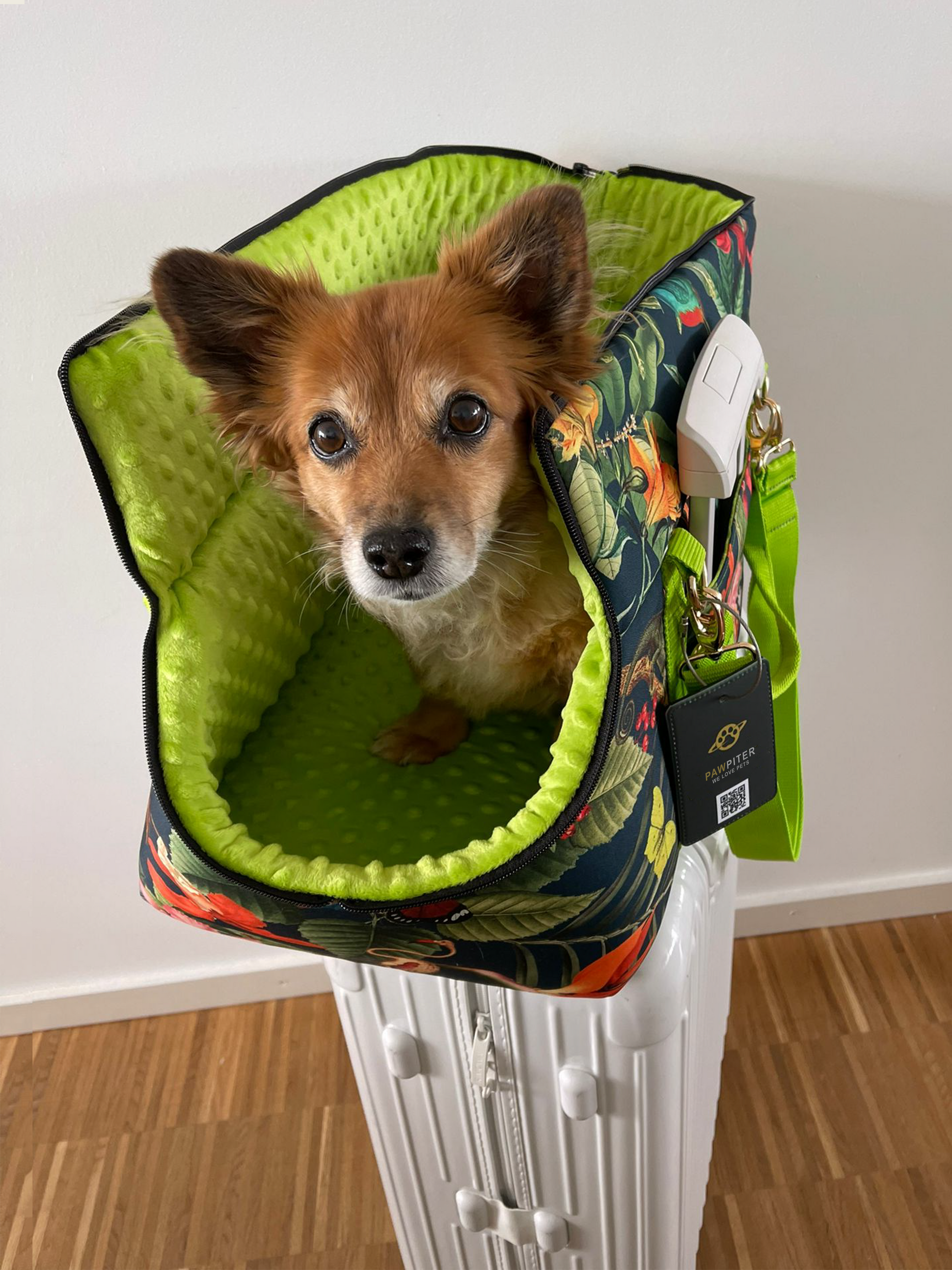 The Original Pawpiter - Rainforest