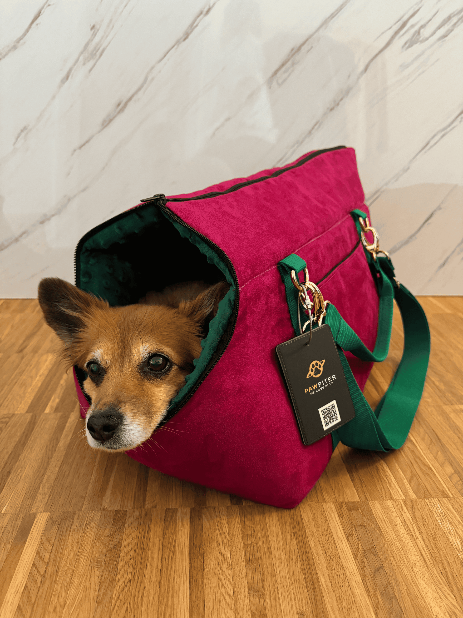 The Original Pawpiter - Raspberry Green