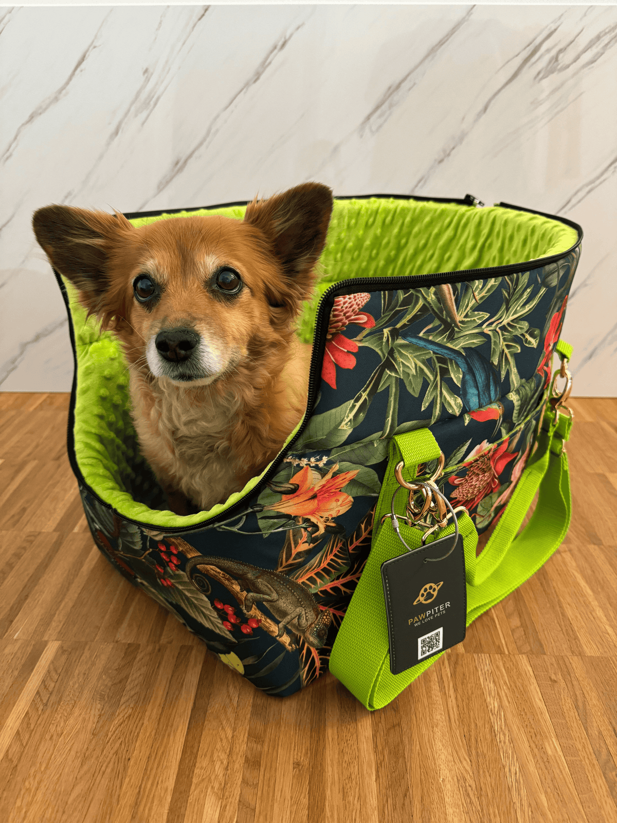 The Original Pawpiter - Rainforest