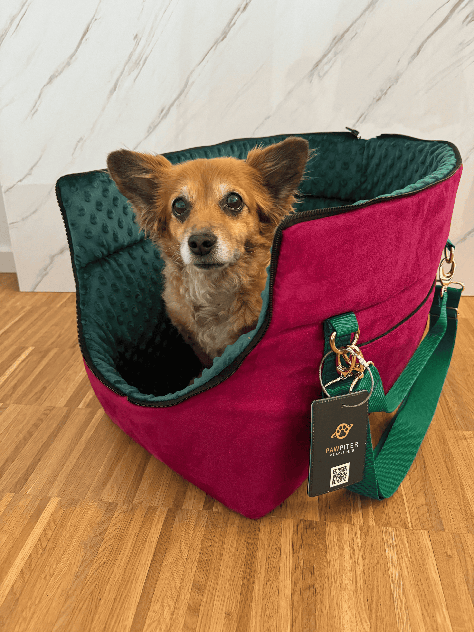 The Original Pawpiter - Raspberry Green