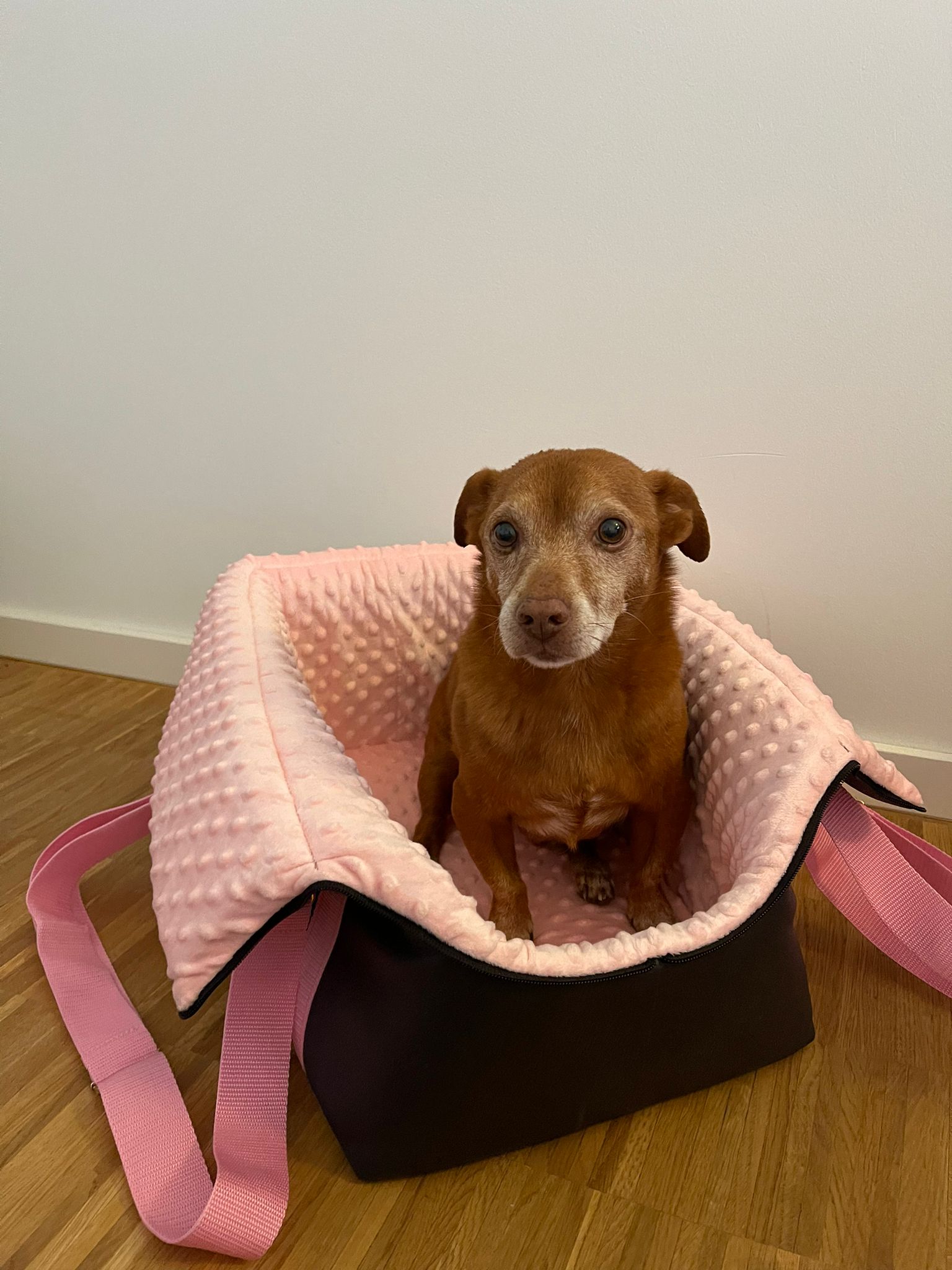 The Original Pawpiter - Pink Baby