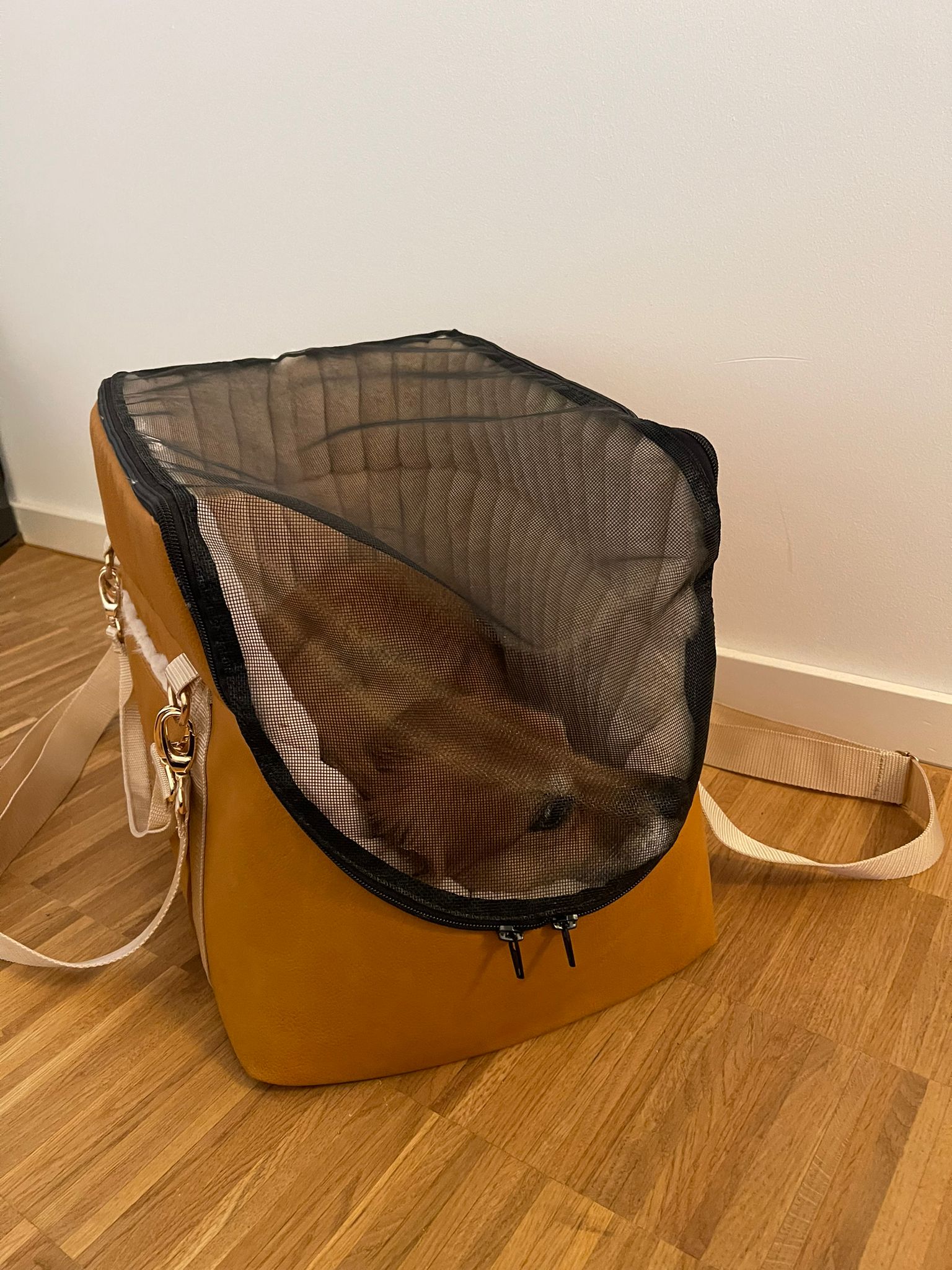 The Original Pawpiter - Cognac Dream