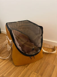 The Original Pawpiter - Cognac Dream