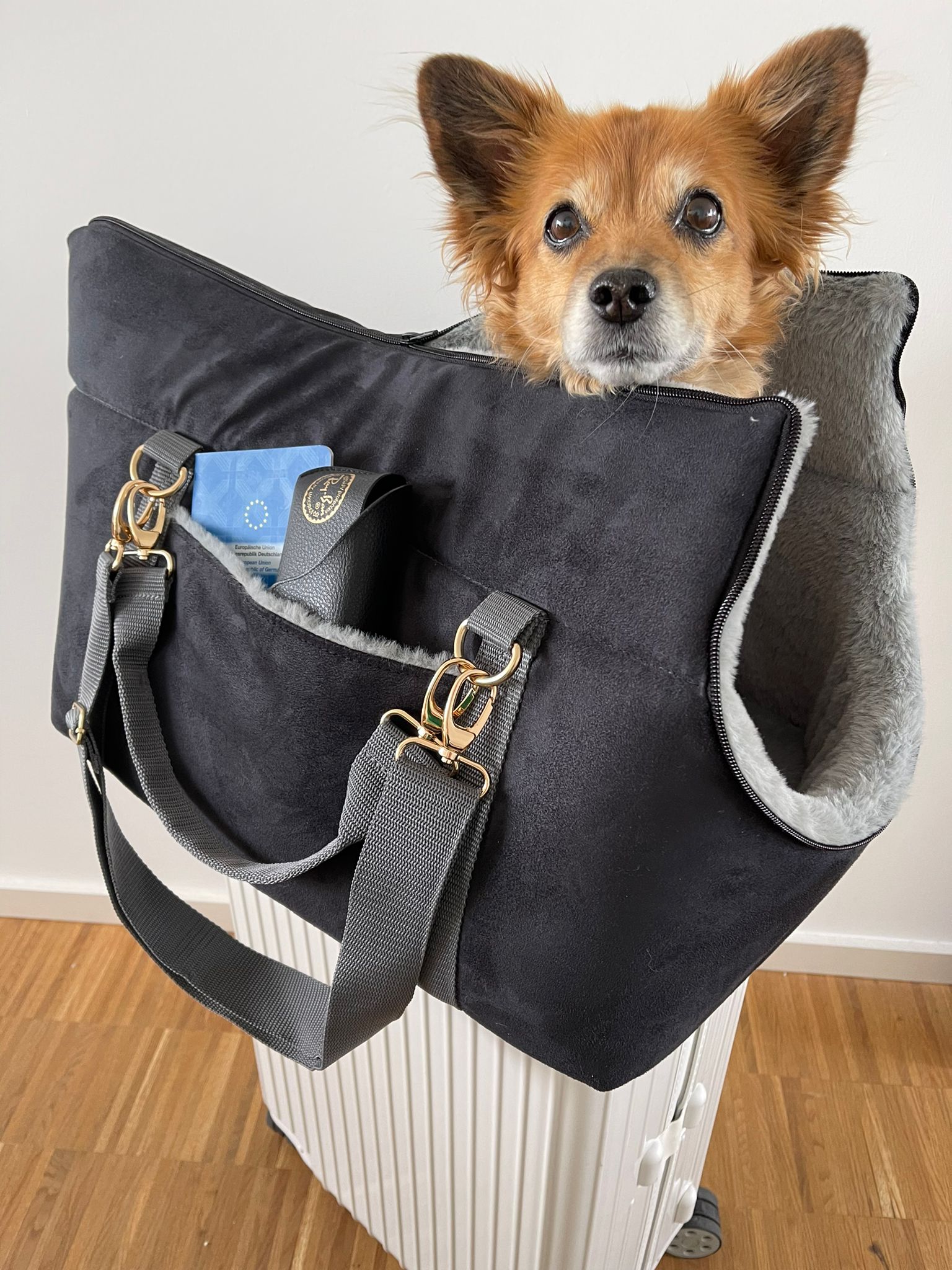 The Original Pawpiter - Cool Gray