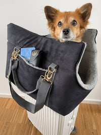 The Original Pawpiter - Cool Gray