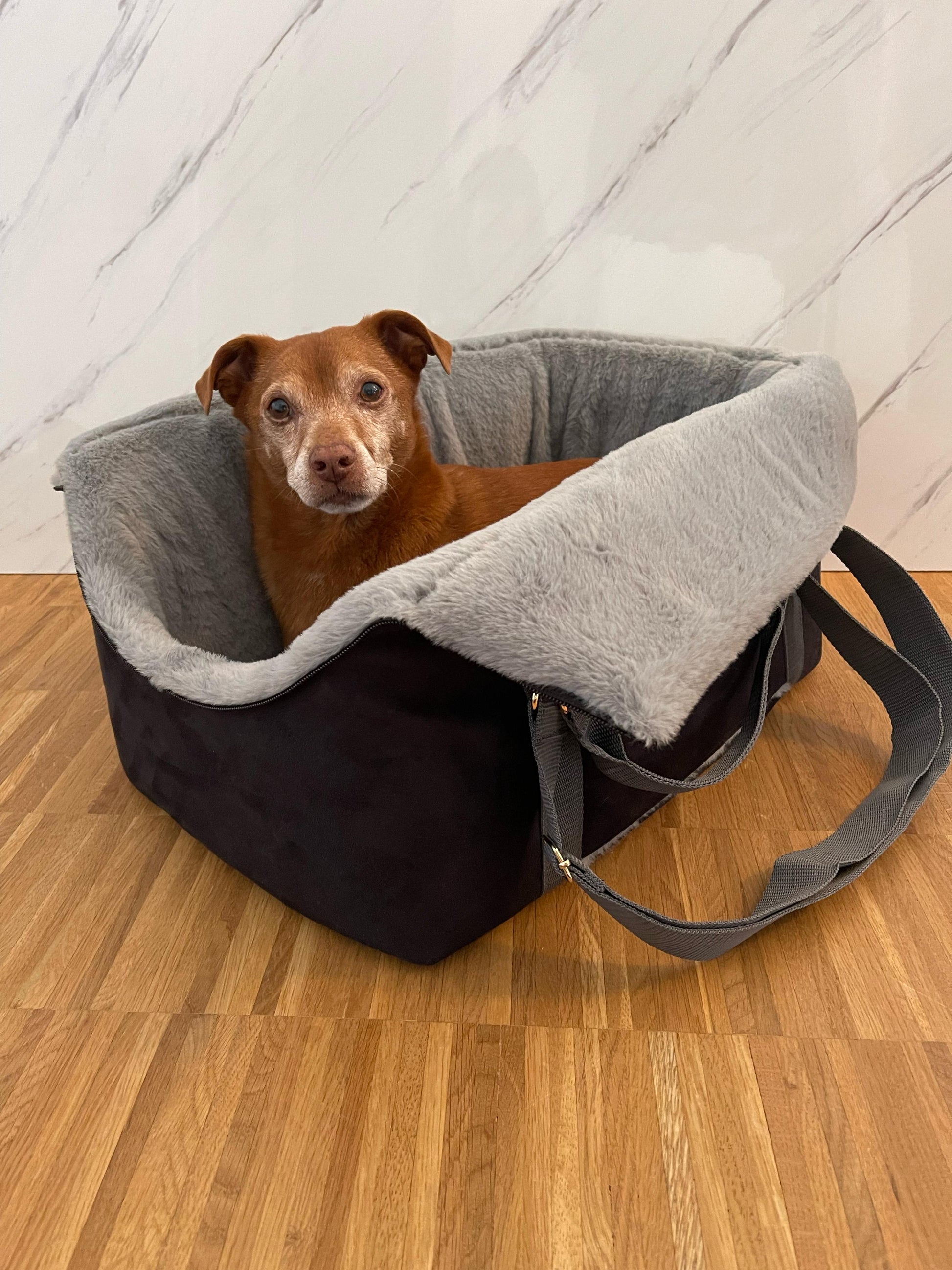 The Original Pawpiter - Cool Gray
