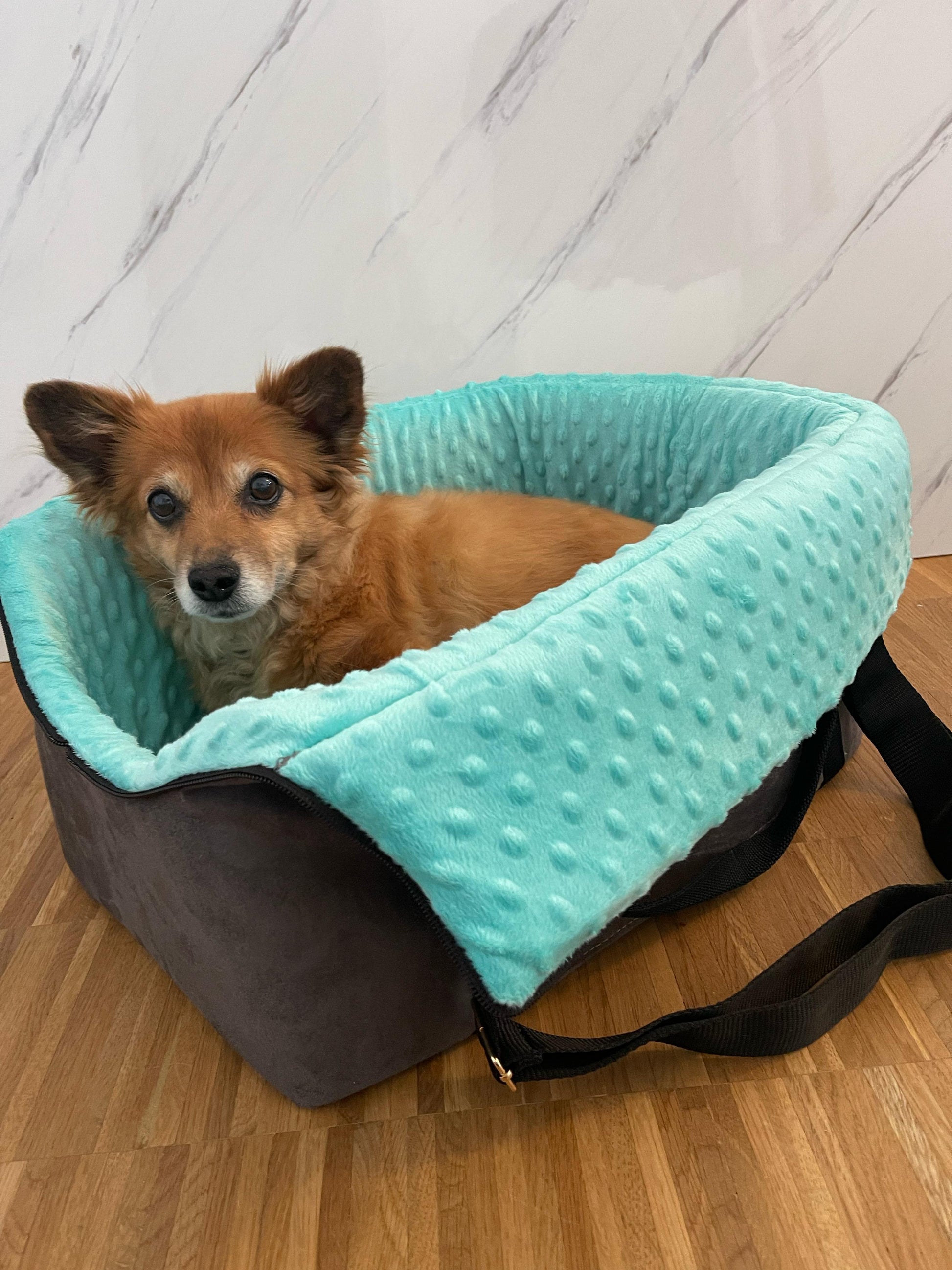 The Original Pawpiter - Minty