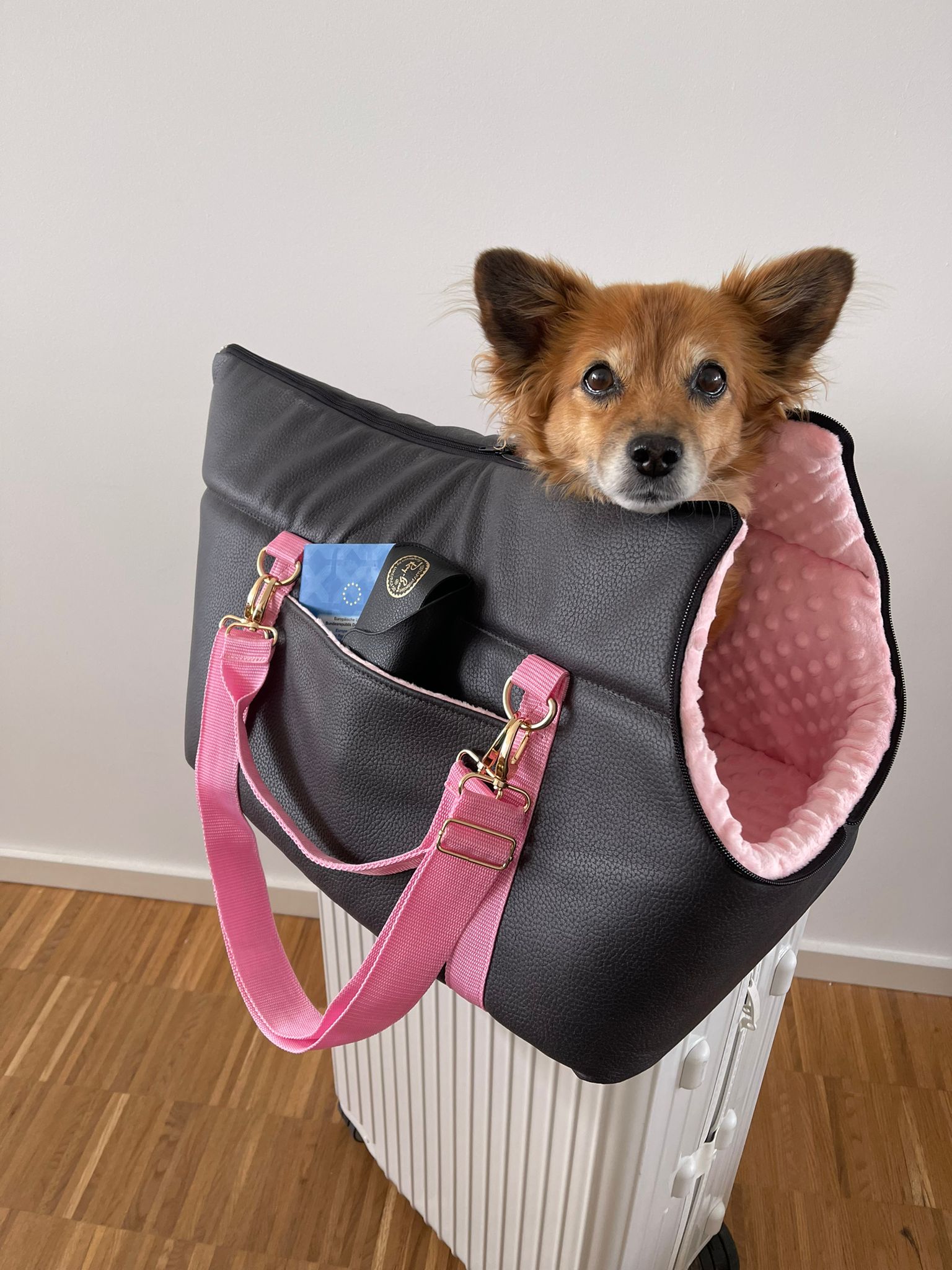 The Original Pawpiter - Pink Baby