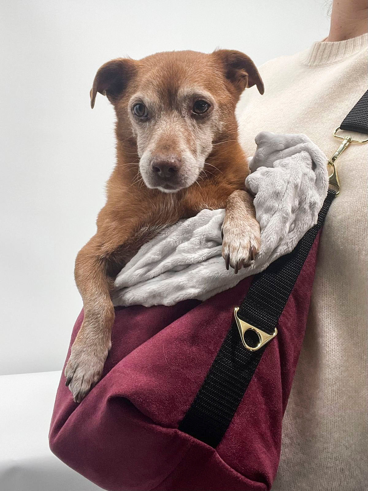 Every Day Bag - Silver Burgundy